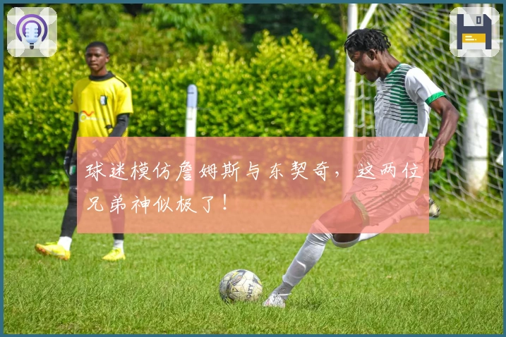 球迷模仿詹姆斯与东契奇，这两位兄弟神似极了！