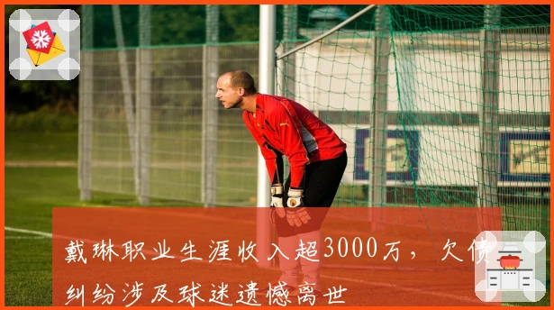 戴琳职业生涯收入超3000万，欠债纠纷涉及球迷遗憾离世